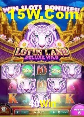 Estatísticas 40Win
